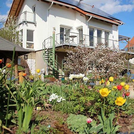 Ferienwohnung Dr. Vera Schmidt Kreischa ภายนอก รูปภาพ