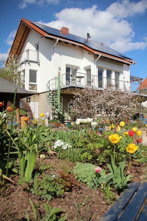 Ferienwohnung Dr. Vera Schmidt Kreischa ภายนอก รูปภาพ